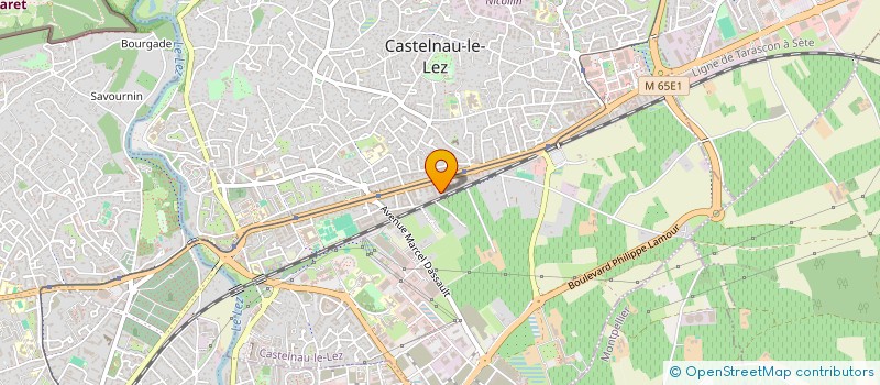 localisation de l'entreprise MADAME LAMIA PIEMONTESI à CASTELNAU-LE-LEZ