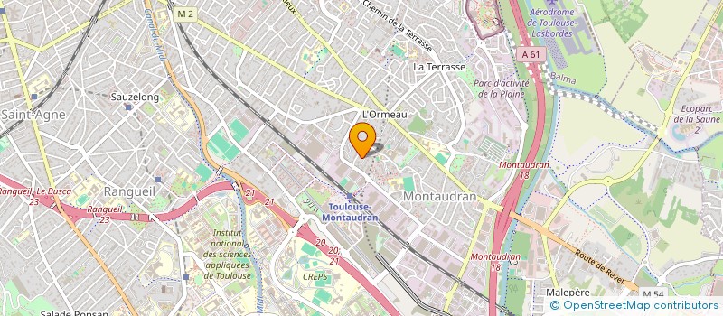 localisation de l'entreprise MADAME LARISA DULEPINA à TOULOUSE