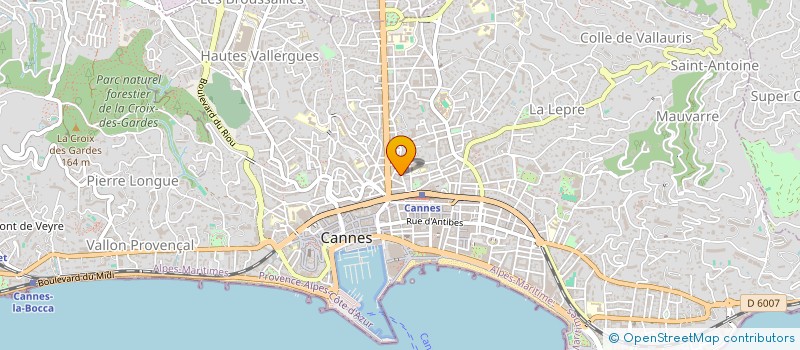 localisation de l'entreprise MADAME LARISA ROMANOVSKAIA à CANNES