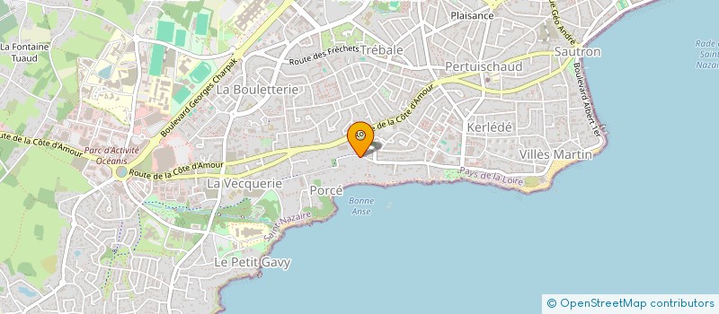 localisation de l'entreprise MADAME LARISSA DELEMARRE  SAINT-NAZAIRE