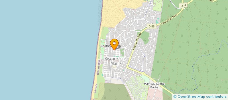 localisation de l'entreprise MADAME LARISSA MIKOLENKO  BISCARROSSE