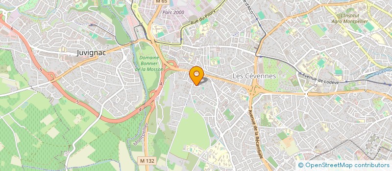 localisation de l'entreprise MADAME LARISSA RAVAOMIHANTA à MONTPELLIER