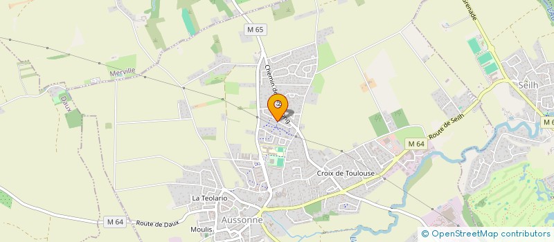 localisation de l'entreprise MADAME LARISSA RIVIERE  AUSSONNE