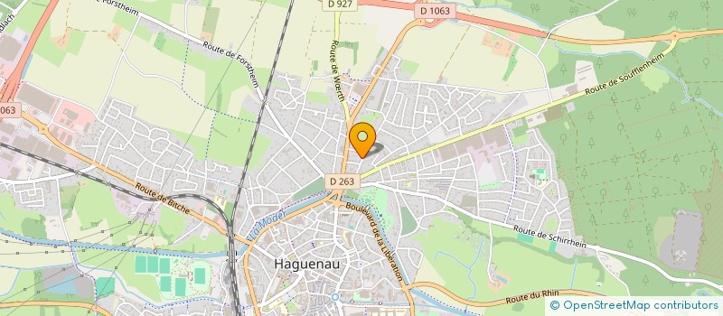 localisation de l'entreprise MADAME LARISSA VIDMAR  HAGUENAU