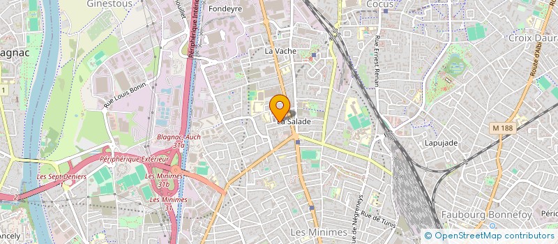 localisation de l'entreprise MADAME LASSAAD BOURAS à TOULOUSE