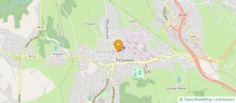 localisation de l'entreprise MADAME LATIFA BENDAHRI  LE CHAMBON-FEUGEROLLES