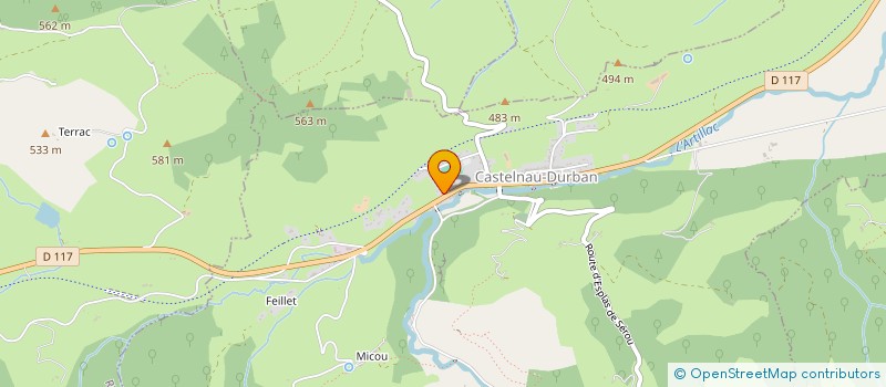 localisation de l'entreprise MADAME LAURA DEDIEU  CASTELNAU-DURBAN