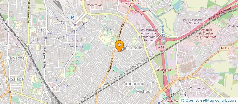 localisation de l'entreprise MADAME LAURA EIZENBERG  TOULOUSE