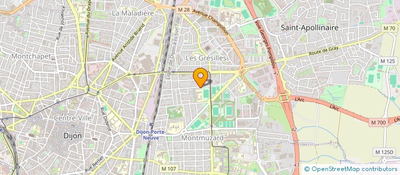 localisation de l'entreprise MADAME LAURA MAYER à DIJON