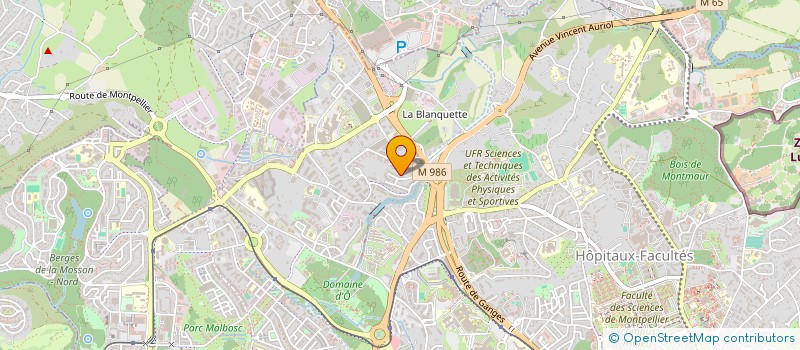 localisation de l'entreprise MADAME LAURA PIERUCCI à MONTPELLIER