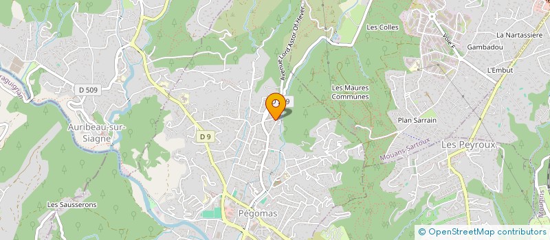 localisation de l'entreprise MADAME LAURA SORANZO  PEGOMAS