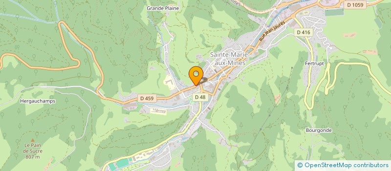 localisation de l'entreprise MADAME LAURA SPEISMANN  SAINTE-MARIE-AUX-MINES