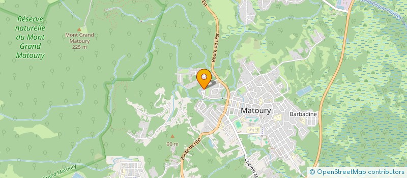 localisation de l'entreprise MADAME LAURA THOMERT  MATOURY