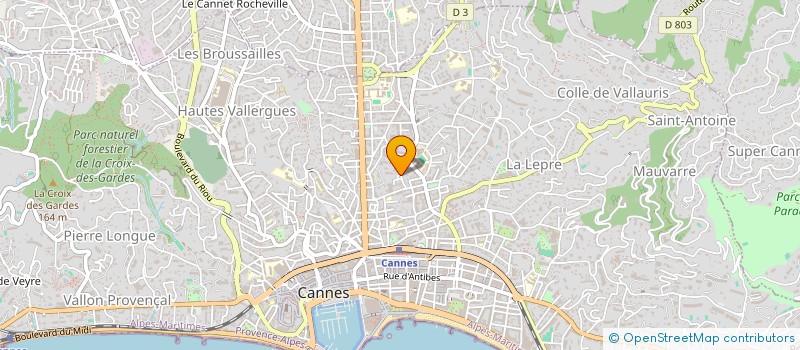 localisation de l'entreprise MADAME LAURA TOUGHLI à CANNES