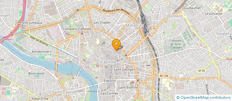 localisation de l'entreprise MADAME LAURE BOUCHET SERGUEEFF à TOULOUSE