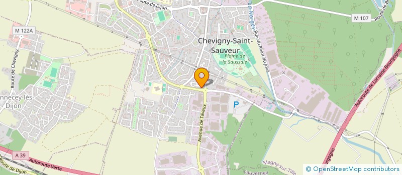 localisation de l'entreprise MADAME LAURE DELATTRE  CHEVIGNY-SAINT-SAUVEUR