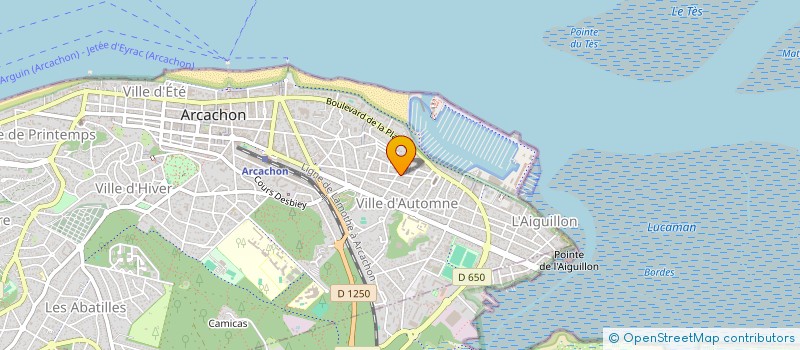 localisation de l'entreprise MADAME LAURE-EMMANUELLE BONILLA  ARCACHON