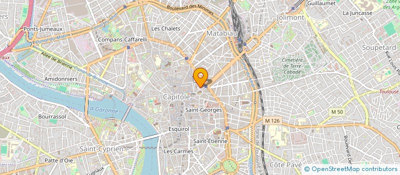 localisation de l'entreprise MADAME LAURE FERNANDEZ  TOULOUSE