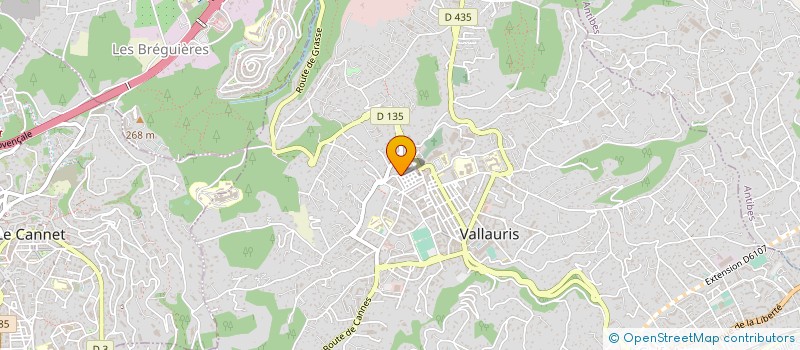 localisation de l'entreprise MADAME LAURE WOLFF à VALLAURIS