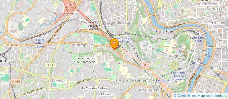 localisation de l'entreprise MADAME LAUREEN WOJCIECKOWSKI à LYON