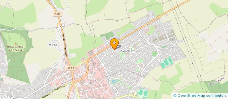 localisation de l'entreprise MADAME LAURENCE ALLANCON MILLET  SEICHAMPS