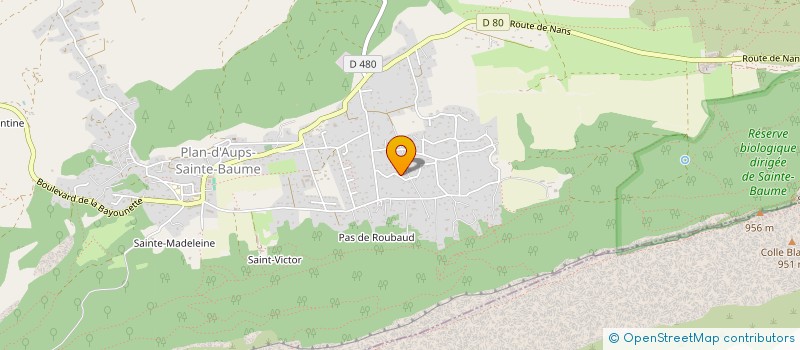 localisation de l'entreprise MADAME LAURENCE BAILLE à PLAN-D'AUPS-SAINTE-BAUME