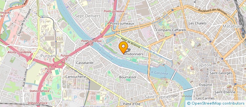 localisation de l'entreprise MADAME LAURENCE BAUZIL  TOULOUSE