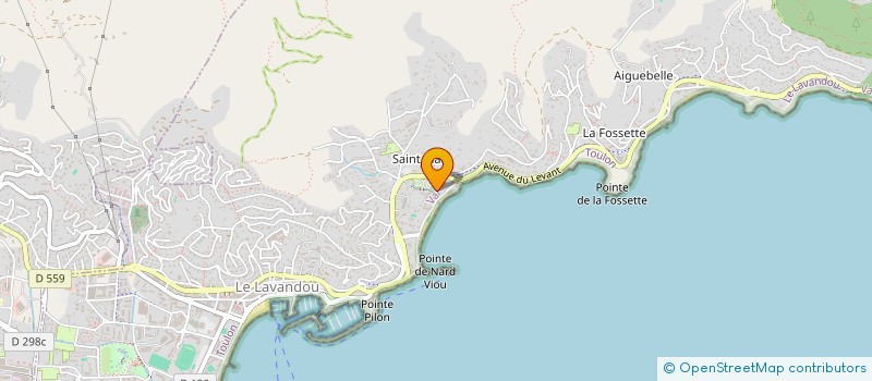 localisation de l'entreprise MADAME LAURENCE BERSIER à LE LAVANDOU
