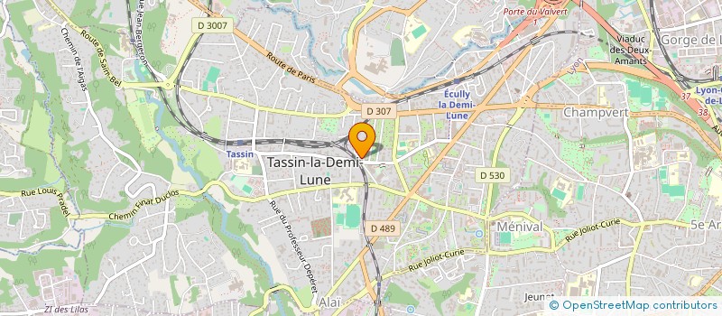 localisation de l'entreprise MADAME LAURENCE BOUSSON  TASSIN-LA-DEMI-LUNE