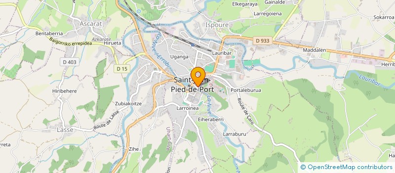 localisation de l'entreprise MADAME LAURENCE ETCHEGOIN  SAINT-JEAN-PIED-DE-PORT