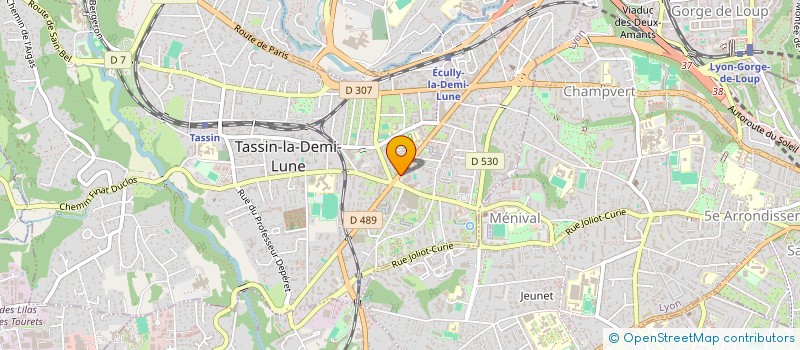 localisation de l'entreprise MADAME LAURENCE GRELLIER  TASSIN-LA-DEMI-LUNE