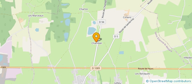 localisation de l'entreprise MADAME LAURENCE LAVERDURE  SAINT-ETIENNE-LE-MOLARD