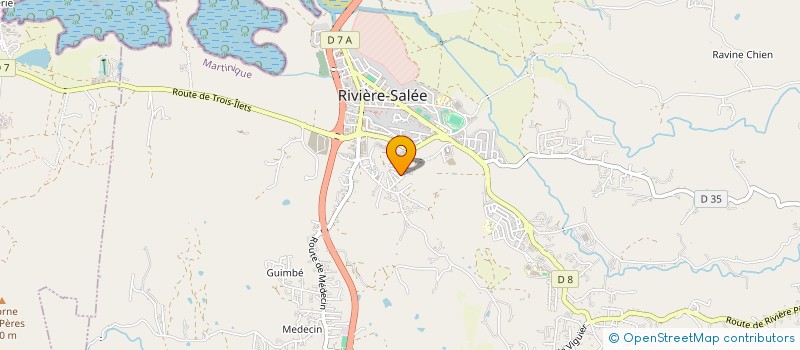 localisation de l'entreprise MADAME LAURENCE LE VIF  RIVIERE-SALEE