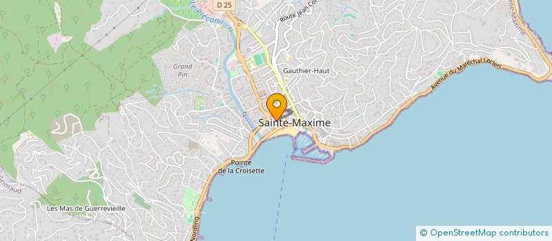 localisation de l'entreprise MADAME LAURENCE MARTIN  SAINTE-MAXIME