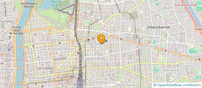 localisation de l'entreprise MADAME LAURENCE MICHELIN  VILLEURBANNE