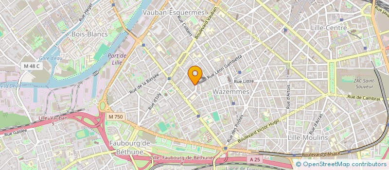 localisation de l'entreprise MADAME LAURENCE NAWEZI  LILLE