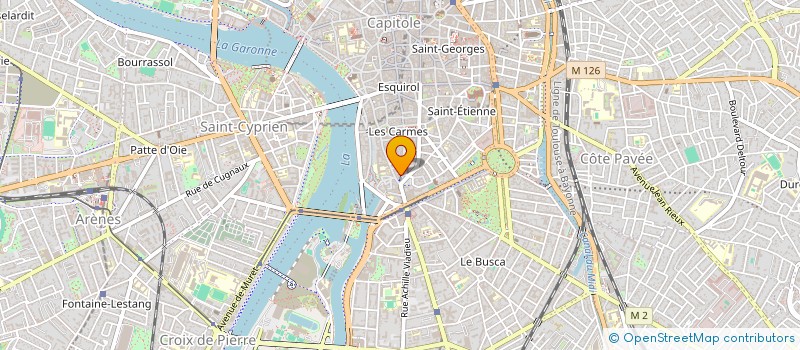 localisation de l'entreprise MADAME LAURENCE PINEAU  TOULOUSE