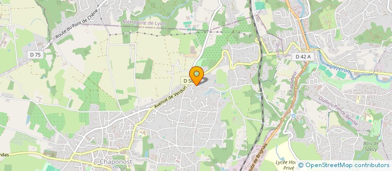 localisation de l'entreprise MADAME LAURENCE REYMOND  CHAPONOST