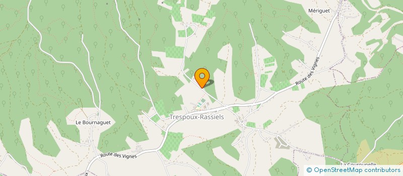 localisation de l'entreprise MADAME LAURENCE SEGONNES RIGAL  TRESPOUX-RASSIELS