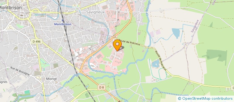 localisation de l'entreprise MADAME LAURENCE TRIFFAULT  MONTBRISON