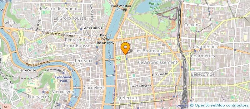 localisation de l'entreprise MADAME LAURENCE TRIOLAIRE à LYON