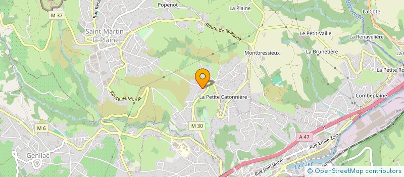 localisation de l'entreprise MADAME LAURENCE VERRIER  SAINT-MARTIN-LA-PLAINE