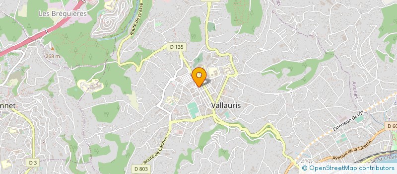 localisation de l'entreprise MADAME LAURENE JEANNETTE  VALLAURIS