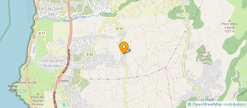 localisation de l'entreprise MADAME LAURENE MAZIER  SAINT-LEU