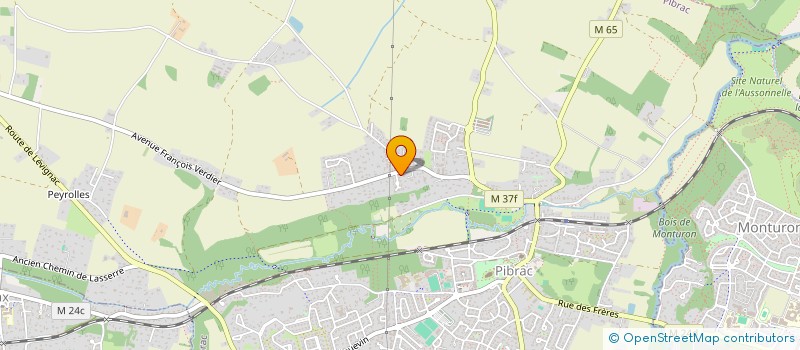 localisation de l'entreprise MADAME LAURENE ROBIN  PIBRAC