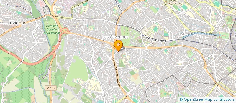 localisation de l'entreprise MADAME LAURIANE ELISE à MONTPELLIER