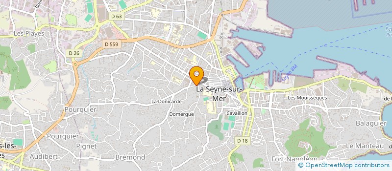 localisation de l'entreprise MADAME LAURIANE PICARD à LA SEYNE-SUR-MER