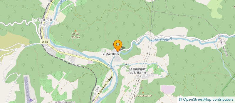 localisation de l'entreprise MADAME LAURIE NEGRIER  LA TOUR-SUR-ORB