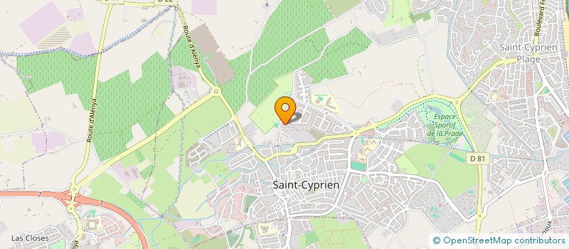 localisation de l'entreprise MADAME LAURINE CRAMAILLE  SAINT-CYPRIEN