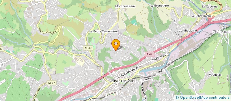 localisation de l'entreprise MADAME LAURYNE VOIRIN à RIVE-DE-GIER